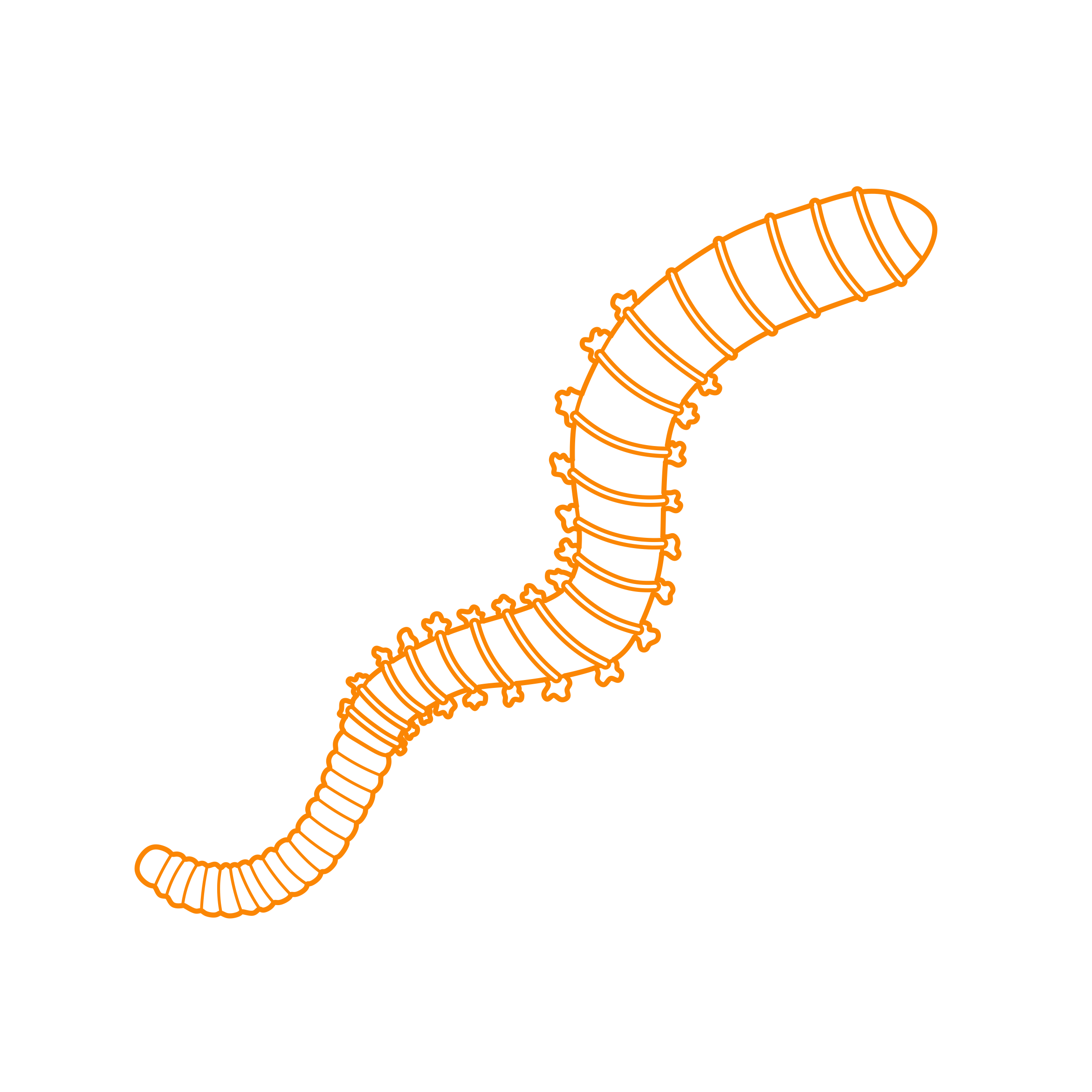 Animals Worms Lugworm Digital Sketch Svg Design Free Vectors